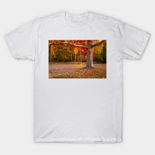 Tree Swing In Autumn T-Shirt